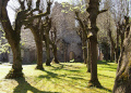 Kirchenruine, Blick von Osten, 2022