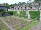 Blick aus dem Dormitorium auf die Kirchenruine und Kriegsgräberfriedhof, 2001