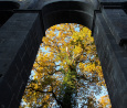 Herbstliche Kirchenruine, Mittelschiff