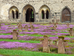 Kriegsopferfriedhof und Kapitelsaal, Foto: Sylvia Linn, 2016