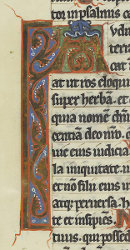 Arnsburger Psalter